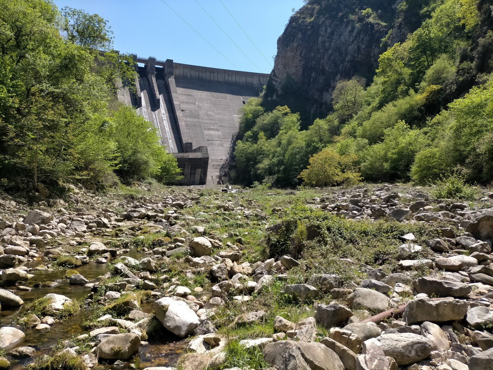 determinación del estado ecologico