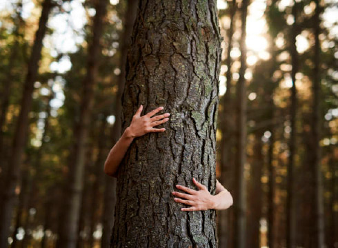 Medioambiente