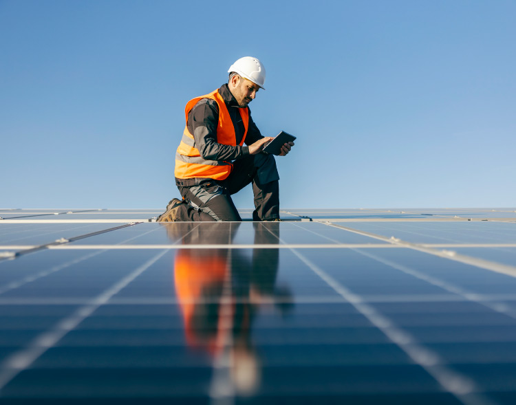placas solares fotovoltaicas