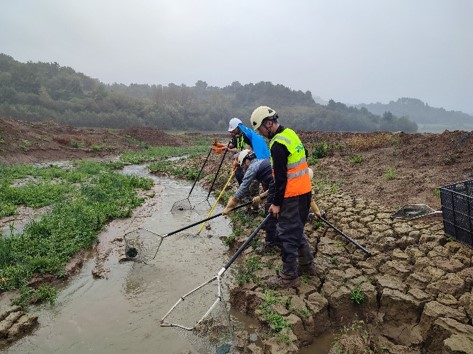 plan de vigilancia ambiental
