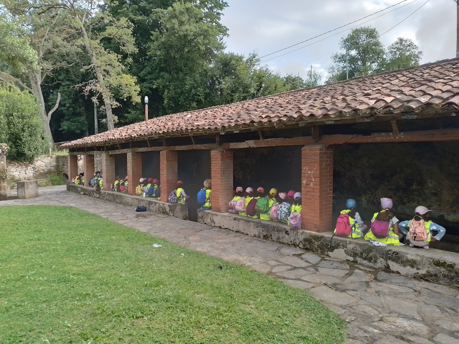 servicio para colonias