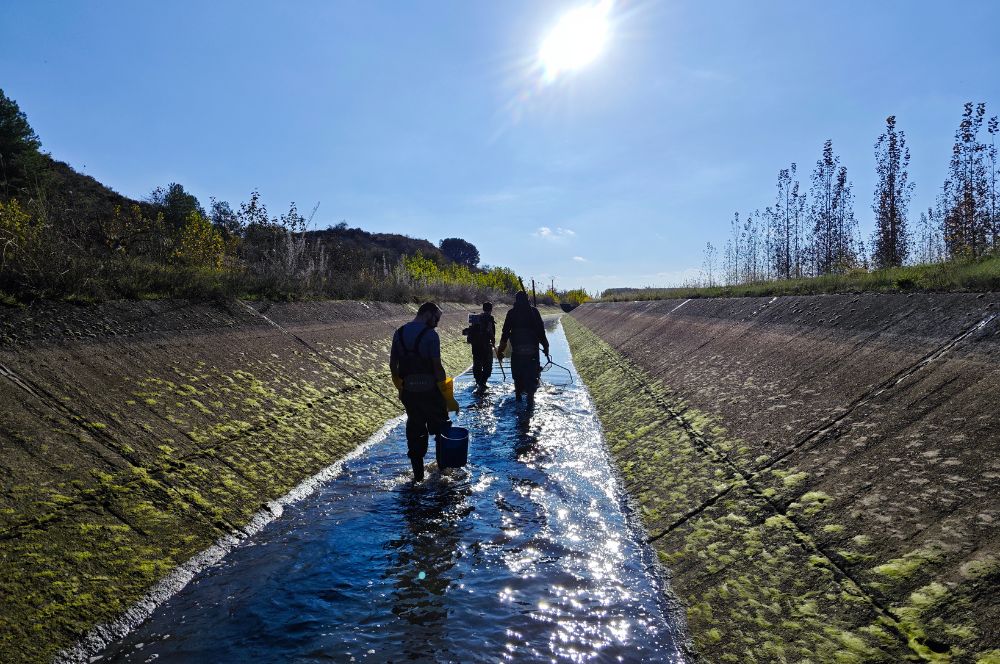 asesoría ambiental