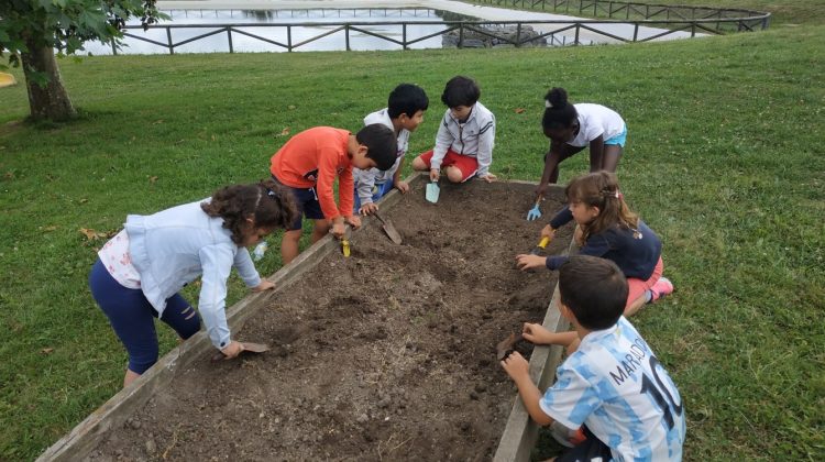 programas educacion ambiental